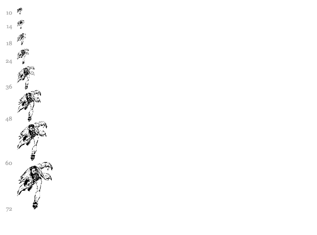 Horror Dingbats Eerie Edition font waterfall